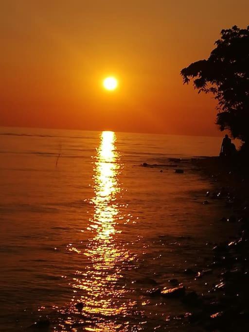 Apartman Den,rovinj Oaza U Centru Grada I Besplatnim Parkingom